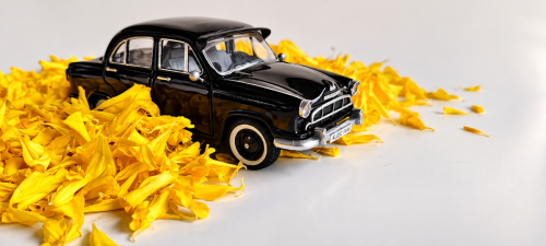 Vintage-Black-Sedan-Among-Yellow-Petals 